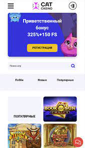 cat casino сайт